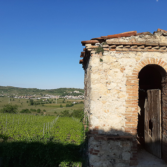 colline di Soave